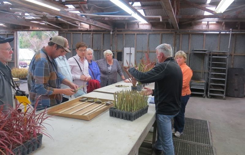Paul Turner explains exporting flax