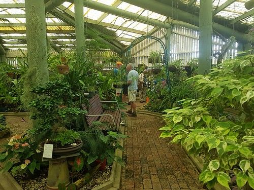 Orchid House - Mackay