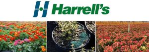 IPPS International Sponsor: Harrell's