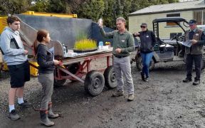 Nursery Production Workshops with leading N.Z. growers and U.S. Experts